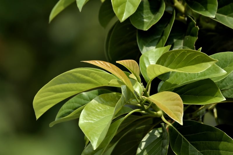 Enhance personal growth